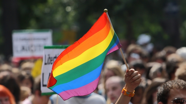 http://freedomwat.ch/wp-content/uploads/2012/11/prideflag-shutterstock1.jpg