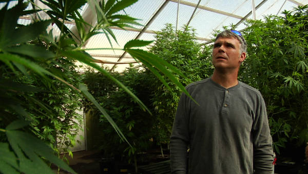 http://freedomwat.ch/wp-content/uploads/2012/11/video-opdoc-marijuana-articleLarge1.jpg